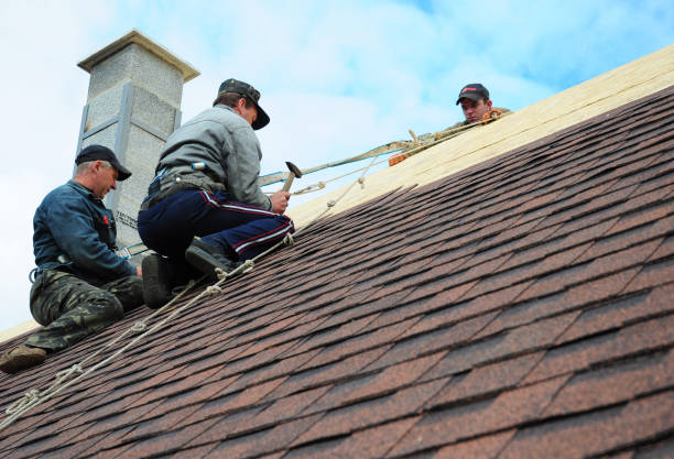 Professional Roofing Contractor in Poynette, WI